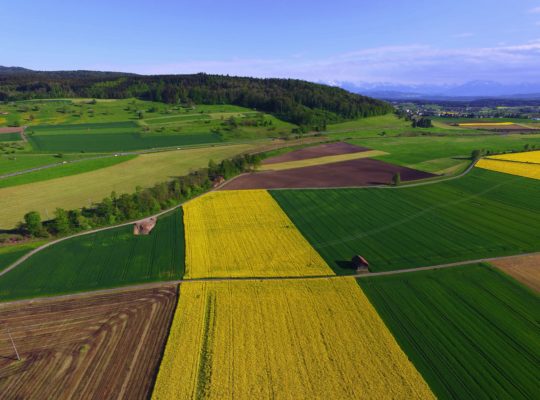 investir dans les terres agricoles